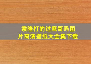 索隆打的过鹰哥吗图片高清壁纸大全集下载