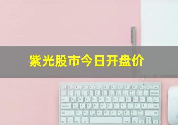 紫光股市今日开盘价