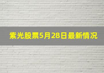 紫光股票5月28日最新情况