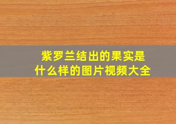 紫罗兰结出的果实是什么样的图片视频大全