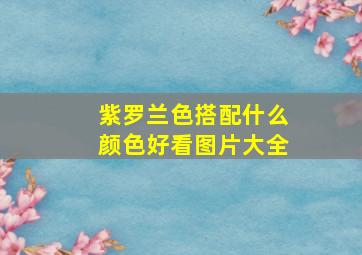 紫罗兰色搭配什么颜色好看图片大全