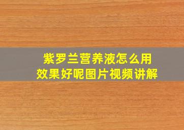 紫罗兰营养液怎么用效果好呢图片视频讲解