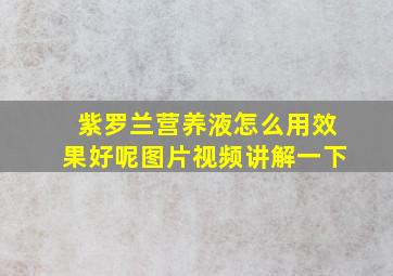 紫罗兰营养液怎么用效果好呢图片视频讲解一下