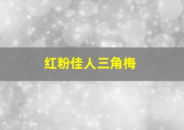 红粉佳人三角梅