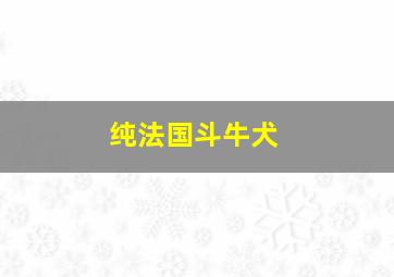 纯法国斗牛犬