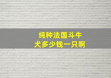 纯种法国斗牛犬多少钱一只啊