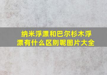 纳米浮漂和巴尔杉木浮漂有什么区别呢图片大全