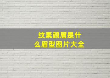 纹素颜眉是什么眉型图片大全