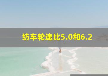 纺车轮速比5.0和6.2