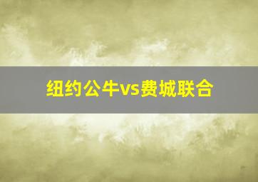 纽约公牛vs费城联合