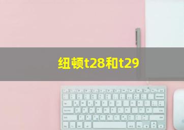 纽顿t28和t29