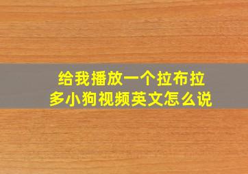 给我播放一个拉布拉多小狗视频英文怎么说