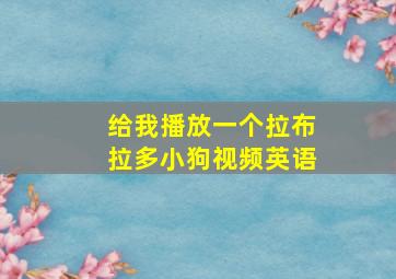 给我播放一个拉布拉多小狗视频英语