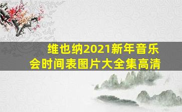 维也纳2021新年音乐会时间表图片大全集高清