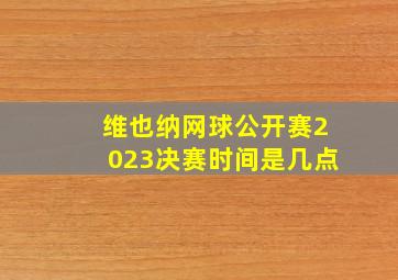 维也纳网球公开赛2023决赛时间是几点