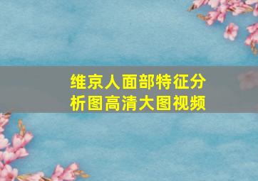 维京人面部特征分析图高清大图视频