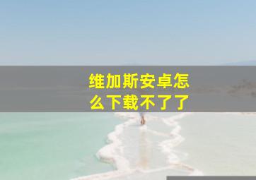 维加斯安卓怎么下载不了了