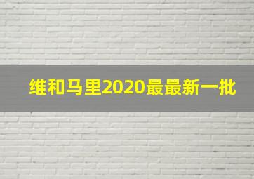 维和马里2020最最新一批