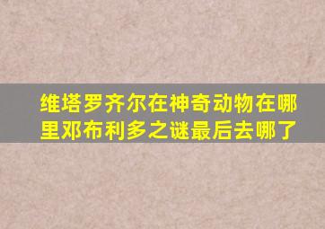 维塔罗齐尔在神奇动物在哪里邓布利多之谜最后去哪了