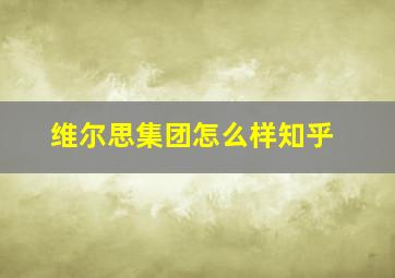 维尔思集团怎么样知乎