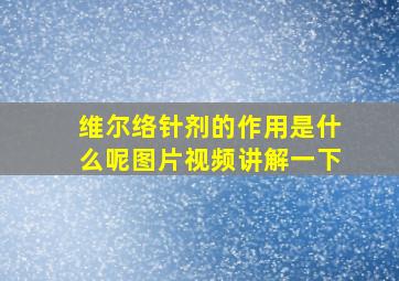 维尔络针剂的作用是什么呢图片视频讲解一下