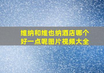 维纳和维也纳酒店哪个好一点呢图片视频大全