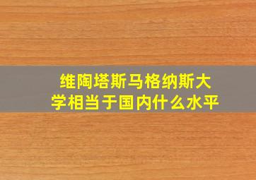 维陶塔斯马格纳斯大学相当于国内什么水平