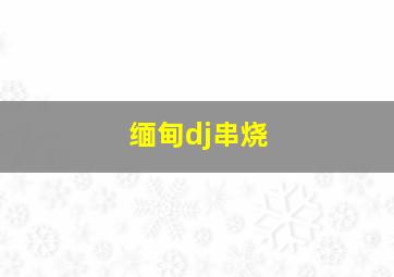 缅甸dj串烧