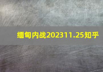 缅甸内战202311.25知乎