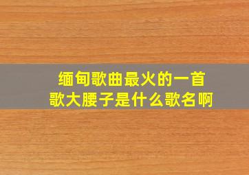 缅甸歌曲最火的一首歌大腰子是什么歌名啊