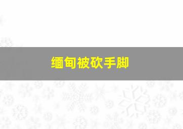 缅甸被砍手脚