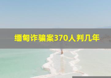 缅甸诈骗案370人判几年