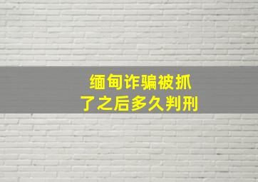 缅甸诈骗被抓了之后多久判刑