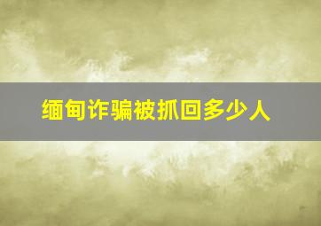 缅甸诈骗被抓回多少人