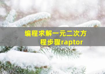 编程求解一元二次方程步骤raptor