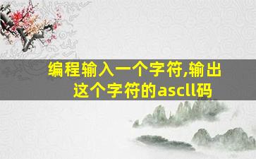 编程输入一个字符,输出这个字符的ascll码