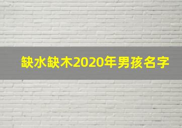 缺水缺木2020年男孩名字