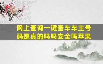 网上查询一键查车车主号码是真的吗吗安全吗苹果