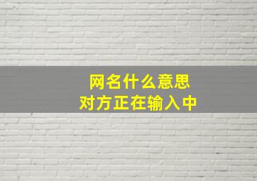 网名什么意思对方正在输入中