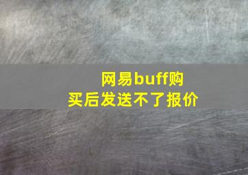 网易buff购买后发送不了报价