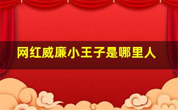 网红威廉小王子是哪里人