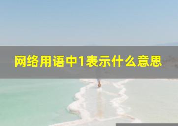 网络用语中1表示什么意思