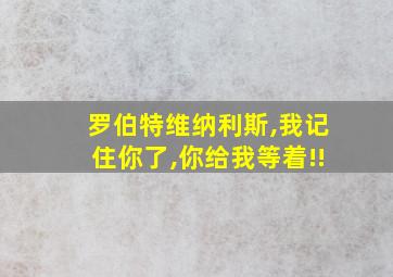 罗伯特维纳利斯,我记住你了,你给我等着!!