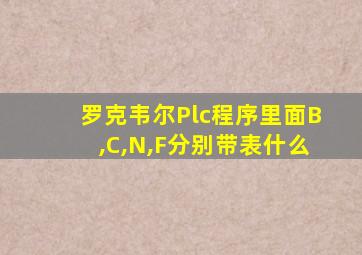 罗克韦尔Plc程序里面B,C,N,F分别带表什么