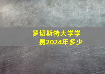 罗切斯特大学学费2024年多少