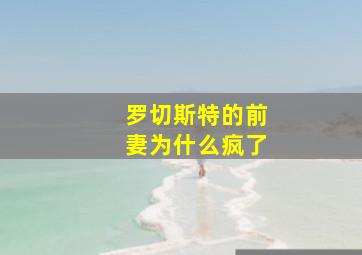 罗切斯特的前妻为什么疯了