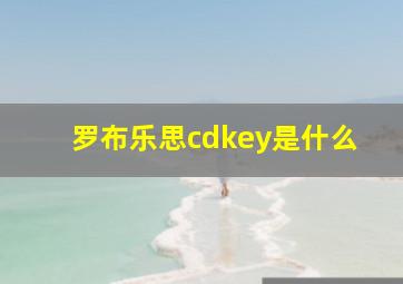 罗布乐思cdkey是什么