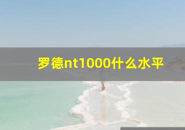 罗德nt1000什么水平