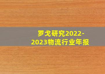 罗戈研究2022-2023物流行业年报