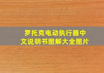 罗托克电动执行器中文说明书图解大全图片